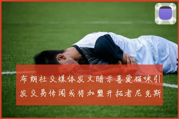 布朗社交媒体发文暗示喜爱猫咪引发交易传闻或将加盟开拓者尼克斯雷霆湖人