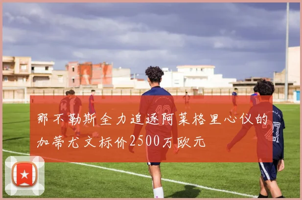 那不勒斯全力追逐阿莱格里心仪的加蒂尤文标价2500万欧元